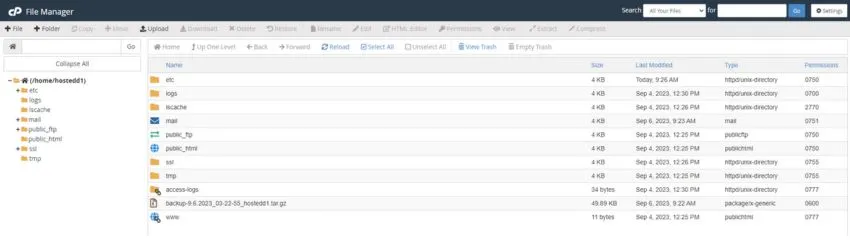 File Manager