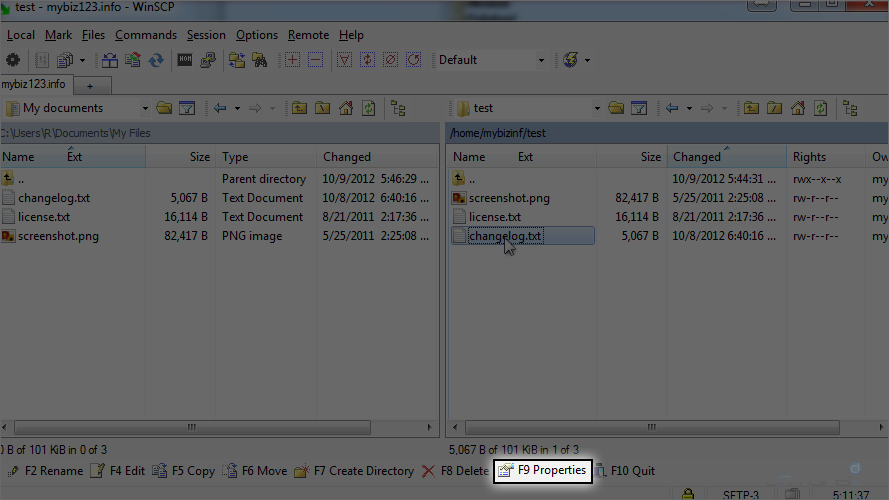 How To Manage Files Using WinSCP - Properties