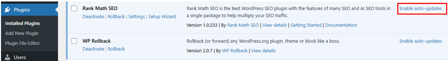 Update WordPress Plugins - Enable Automatic Updates