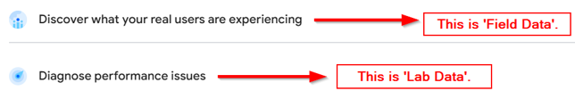 Core Web Vitals For WordPress - Field Data vs Lab Data