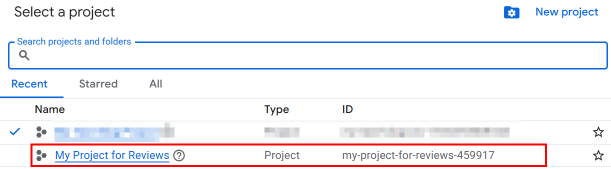 Embed Google Reviews In WordPress - Select Your Newly Created Project