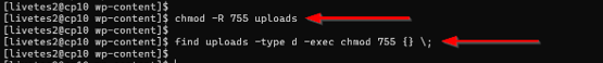 WordPress Media Library Not Showing Images - Set Directory Permissions Recursively