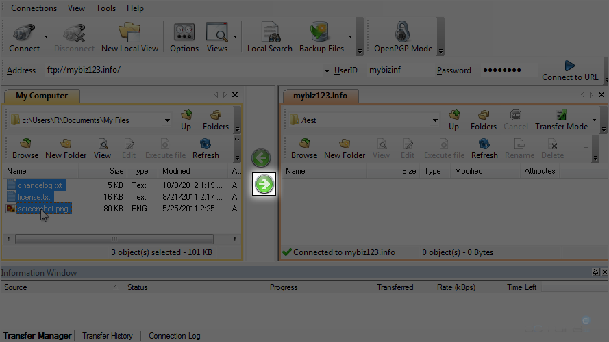 Upload Files Using WS FTP - Upload