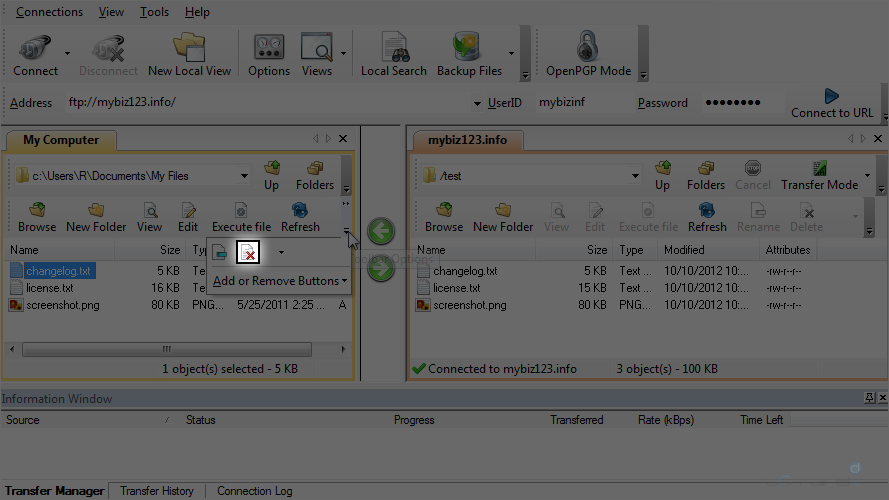 Upload Files Using WS FTP - Delete File