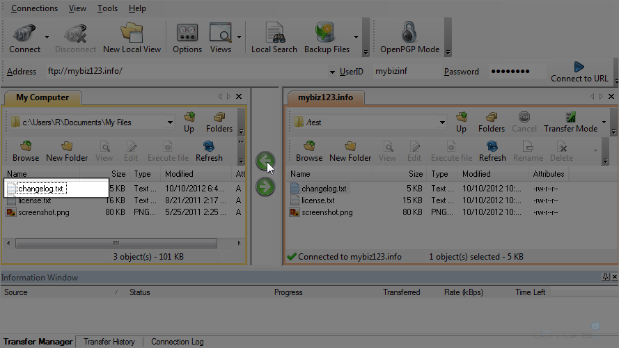 Upload Files Using WS FTP - Local Server