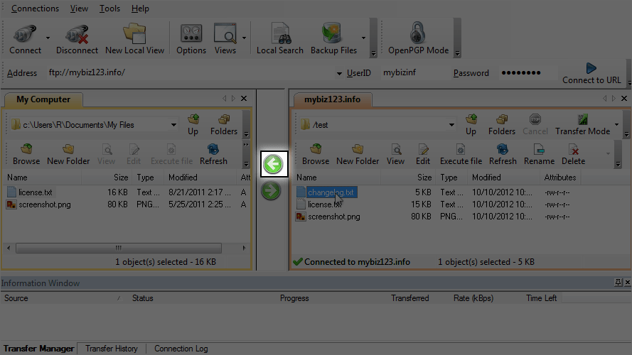 Scrteenshot showing CuteFTP - Download Arrow Button