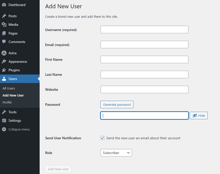 Invite Users To Access A WordPress Blog - Add New User